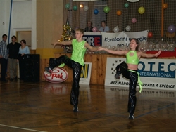 Obrázek v galerii