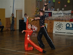 Obrázek v galerii