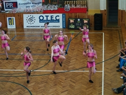 Obrázek v galerii