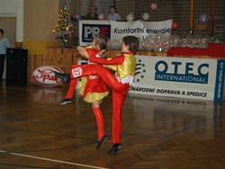 Obrázek v galerii