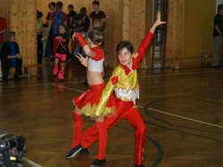 Obrázek v galerii