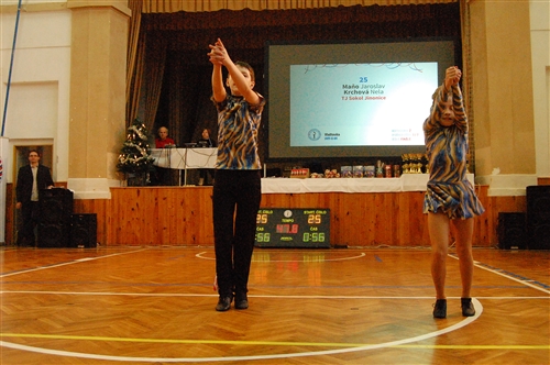 Obrázek v galerii