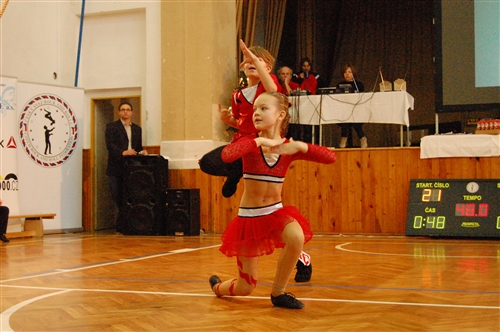 Obrázek v galerii