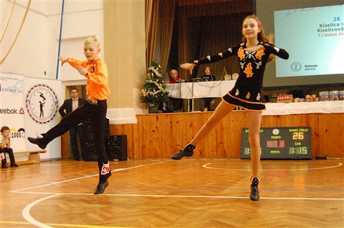 Obrázek v galerii