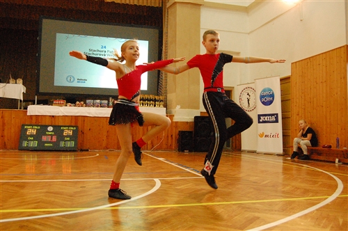 Obrázek v galerii