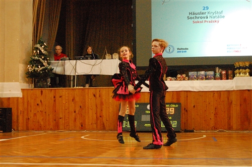 Obrázek v galerii