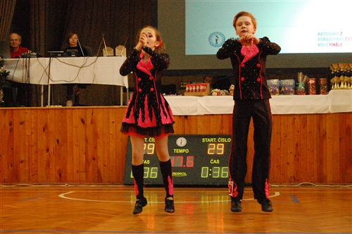 Obrázek v galerii