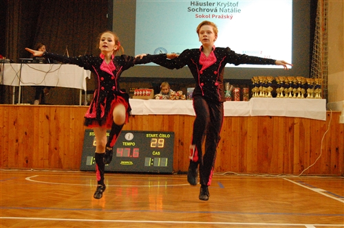 Obrázek v galerii