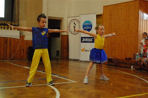 Obrázek v galerii