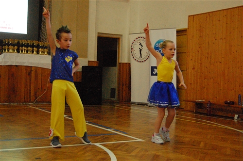 Obrázek v galerii