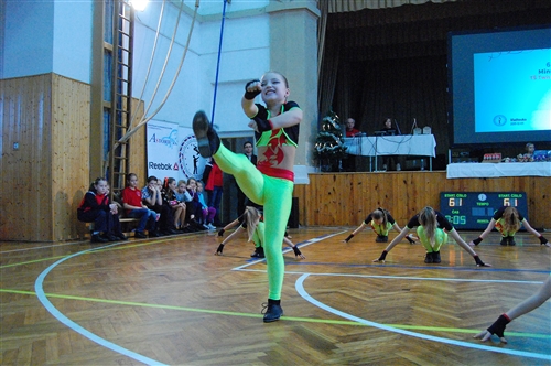 Obrázek v galerii