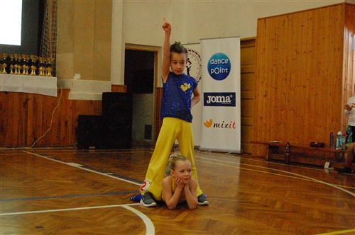 Obrázek v galerii