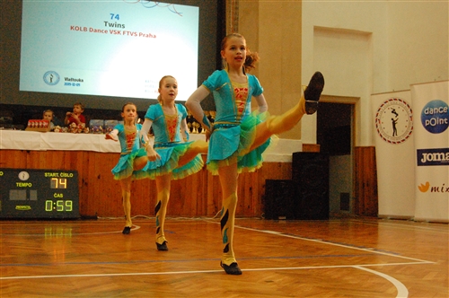 Obrázek v galerii