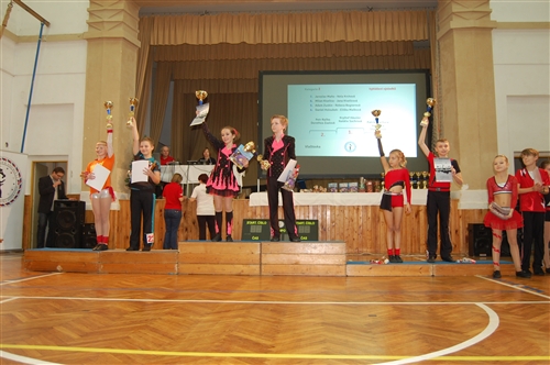 Obrázek v galerii