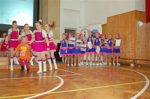 Obrázek v galerii