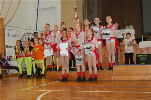 Obrázek v galerii