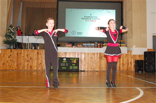 Obrázek v galerii