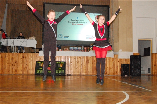 Obrázek v galerii