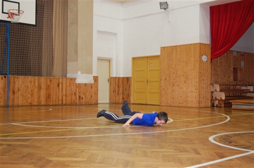 Obrázek v galerii