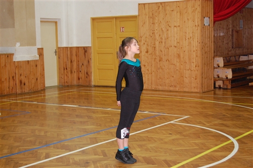Obrázek v galerii