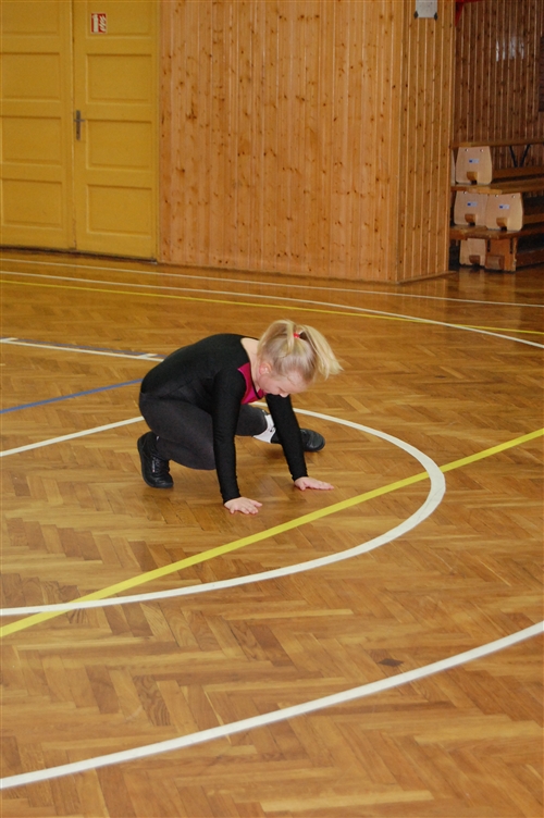Obrázek v galerii