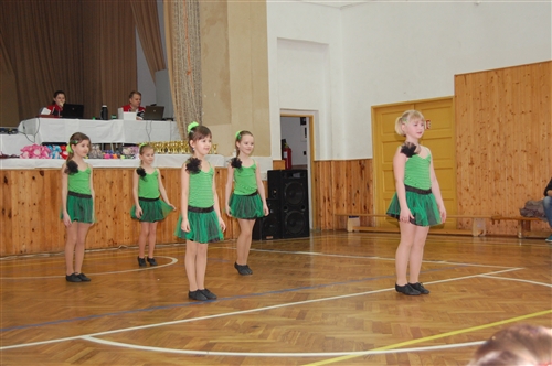 Obrázek v galerii