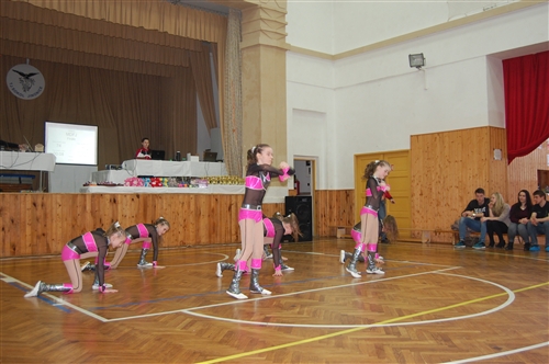 Obrázek v galerii