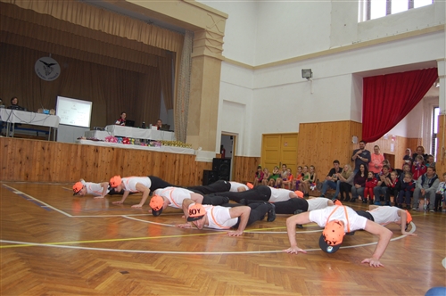 Obrázek v galerii