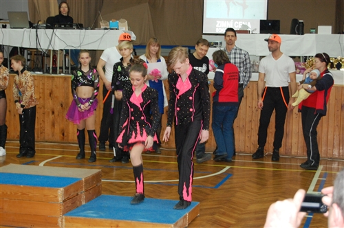 Obrázek v galerii