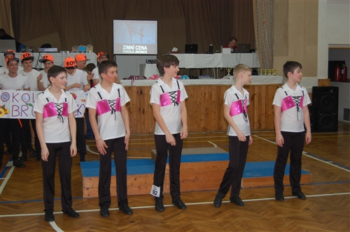Obrázek v galerii