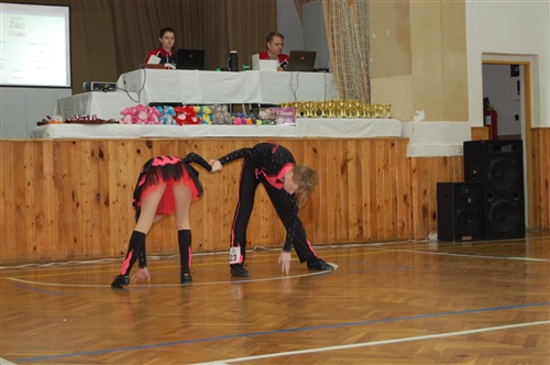 Obrázek v galerii