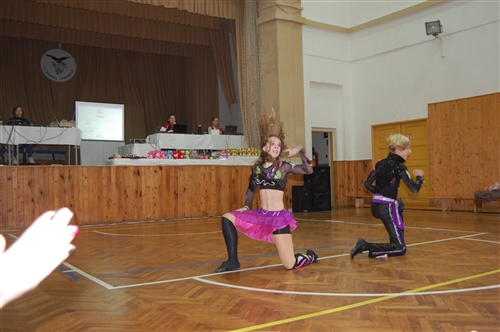 Obrázek v galerii