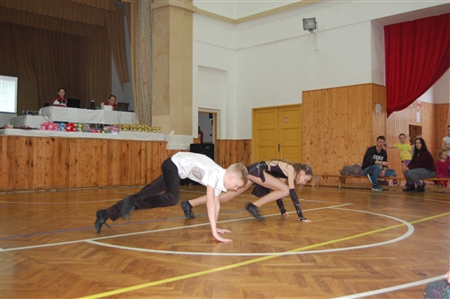 Obrázek v galerii