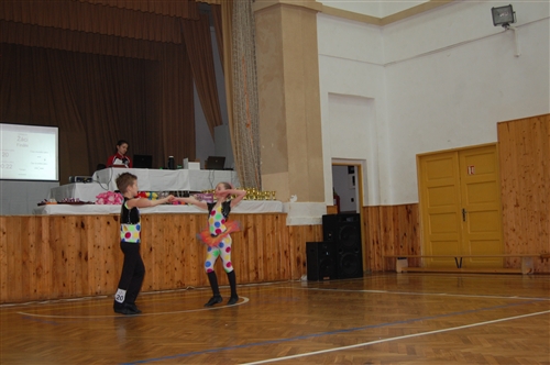 Obrázek v galerii