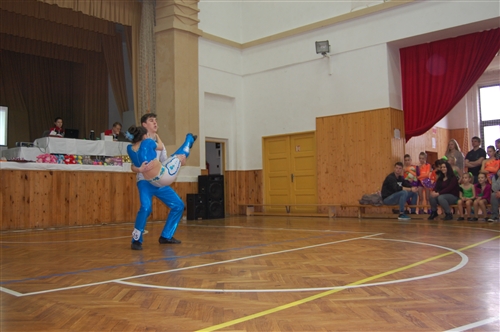 Obrázek v galerii