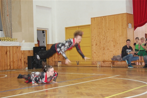 Obrázek v galerii
