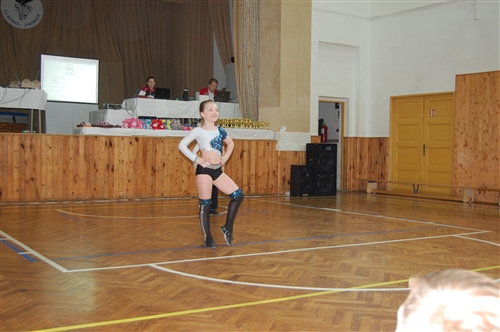 Obrázek v galerii