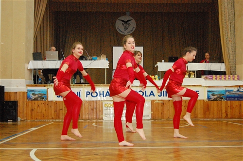 Obrázek v galerii