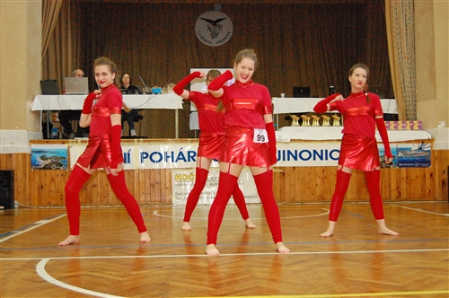 Obrázek v galerii