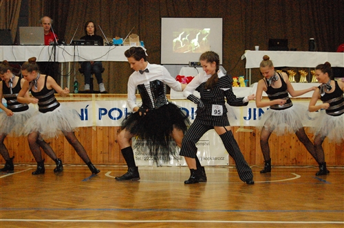 Obrázek v galerii