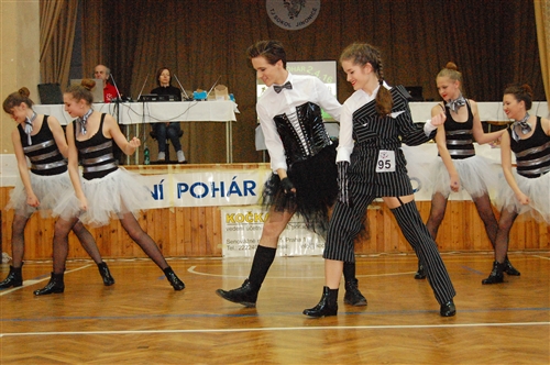 Obrázek v galerii