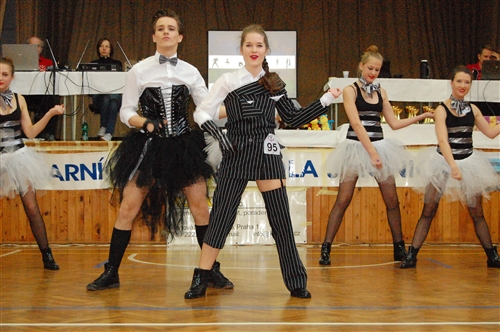 Obrázek v galerii