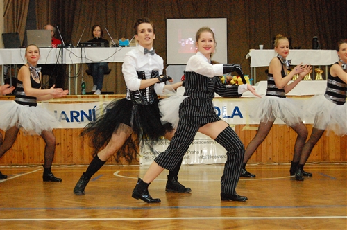 Obrázek v galerii