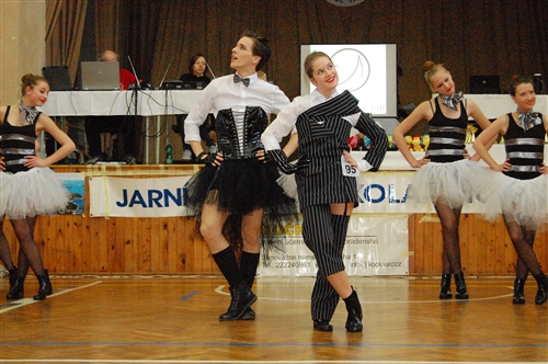 Obrázek v galerii