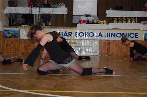Obrázek v galerii