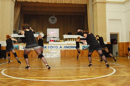 Obrázek v galerii