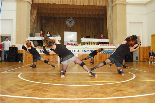 Obrázek v galerii