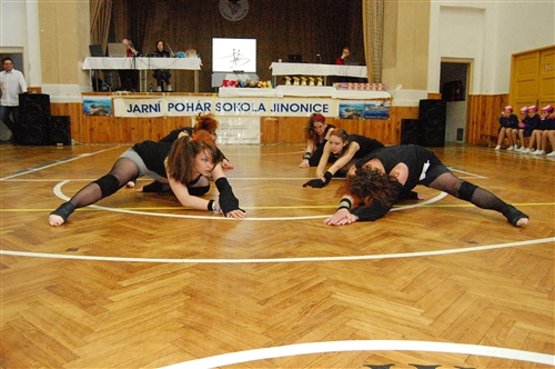 Obrázek v galerii