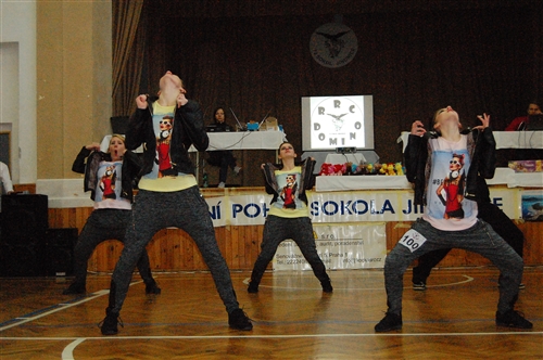 Obrázek v galerii