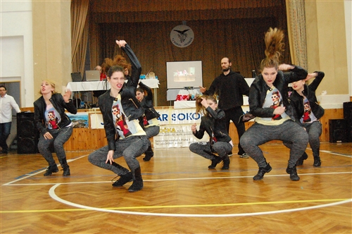 Obrázek v galerii